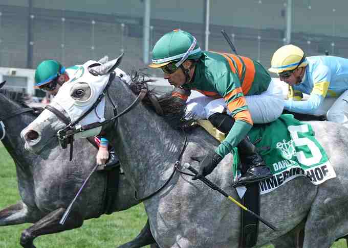 Kappa Kappa returning to action in the Skipat Stakes at Laurel Park during Preakness weekend