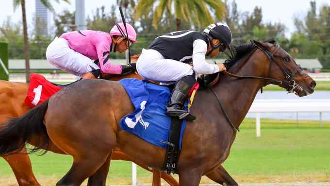 Celtic Dispute trains ahead of the Royal Palm Juvenile at Gulfstream Park