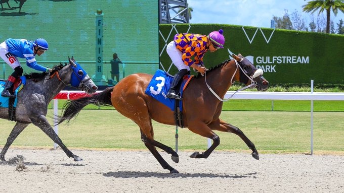 Strike prepares for the Royal Palm Meet at Gulfstream Park