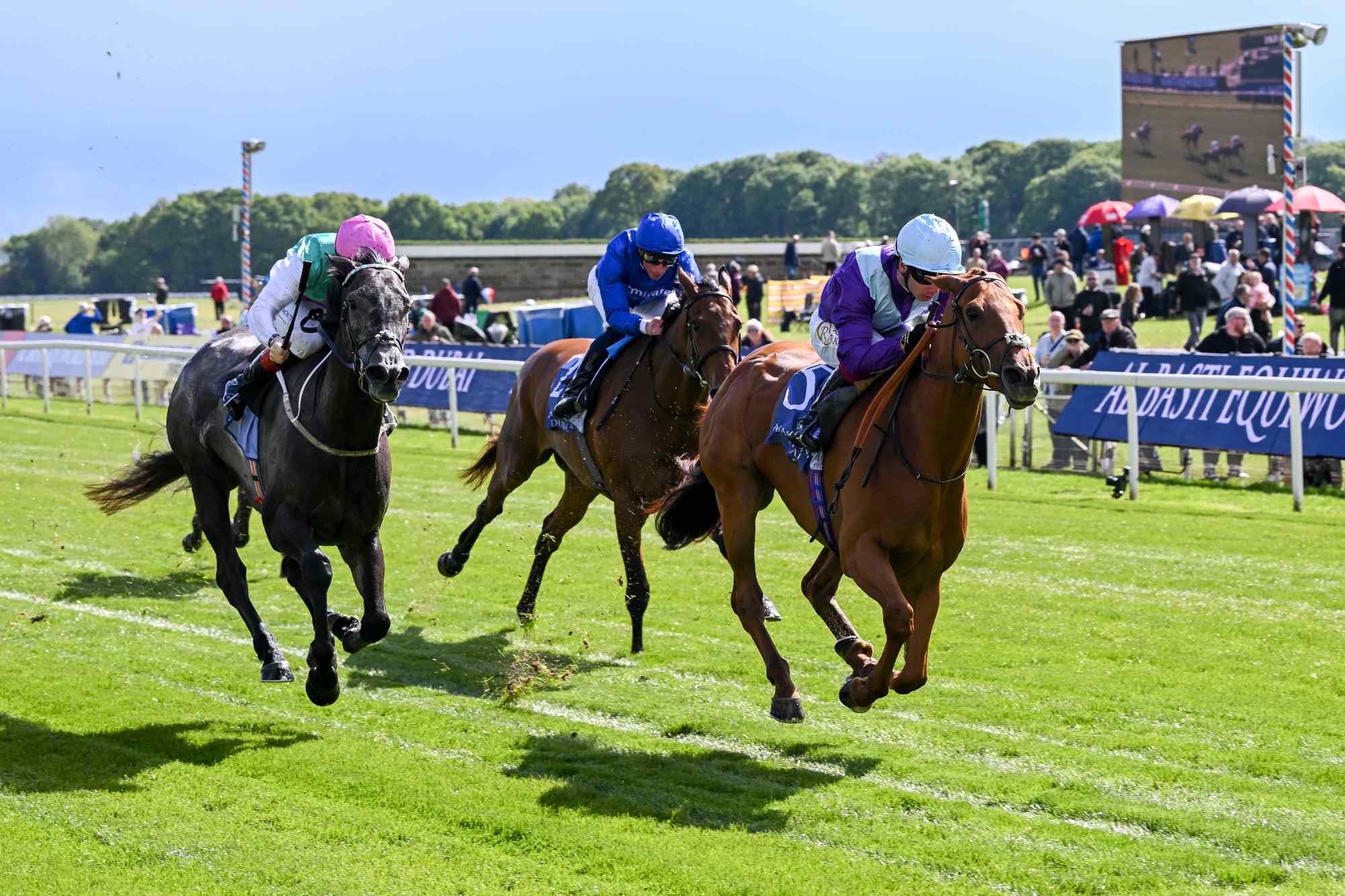Item Dante Stakes Victory York 2026