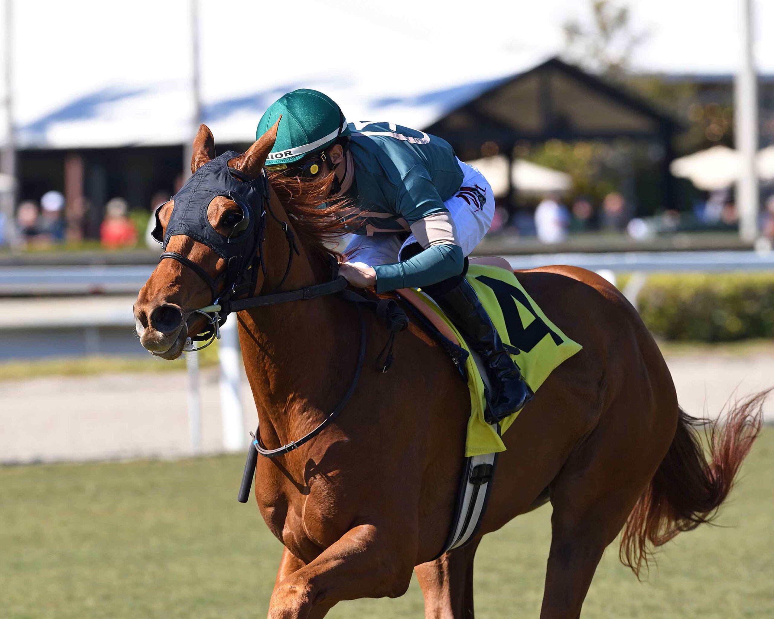 Julien Leparoux riding at Gulfstream Park aboard a turf contender