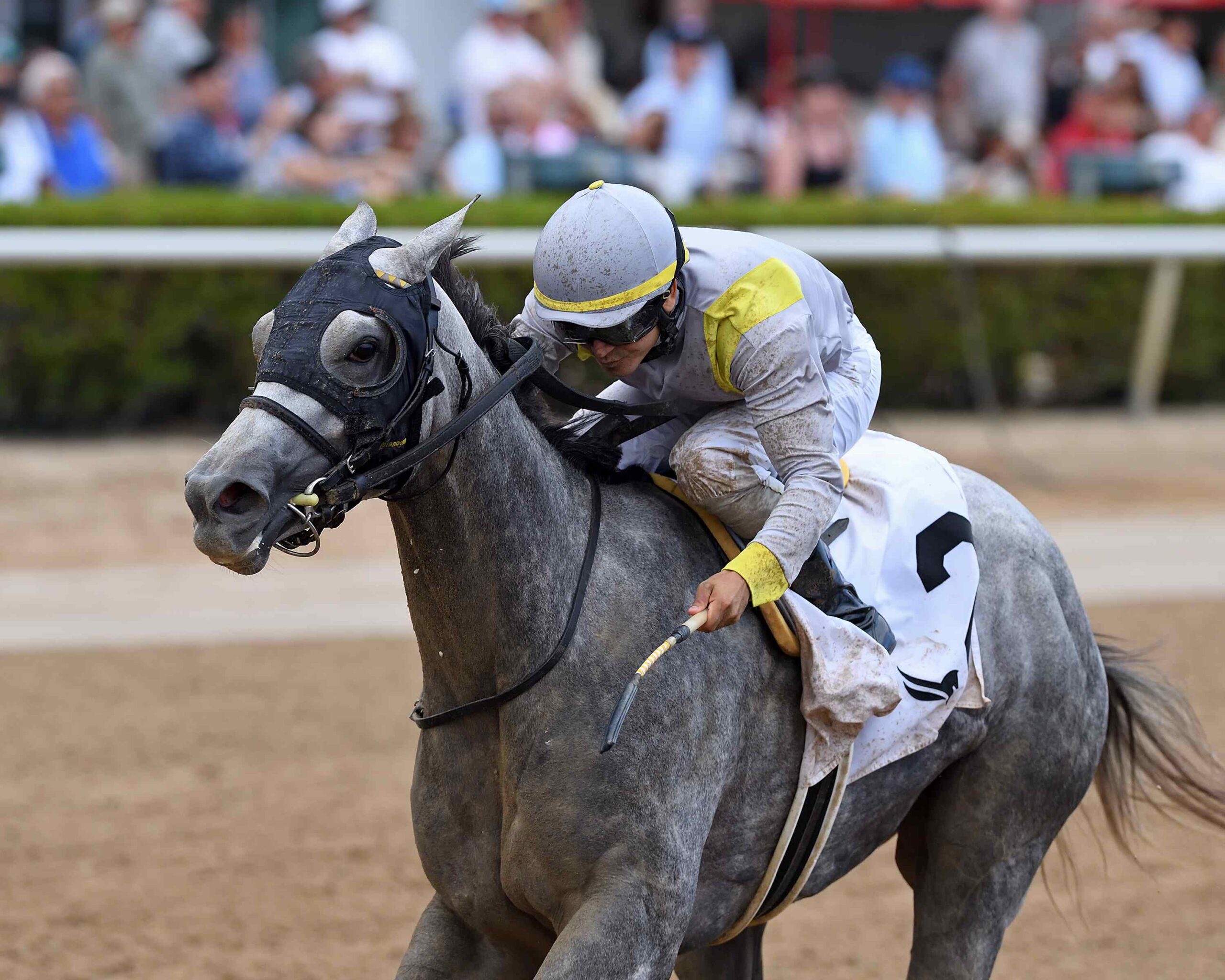 Lennilu after being awarded victory in the Game Face Stakes at Gulfstream Park