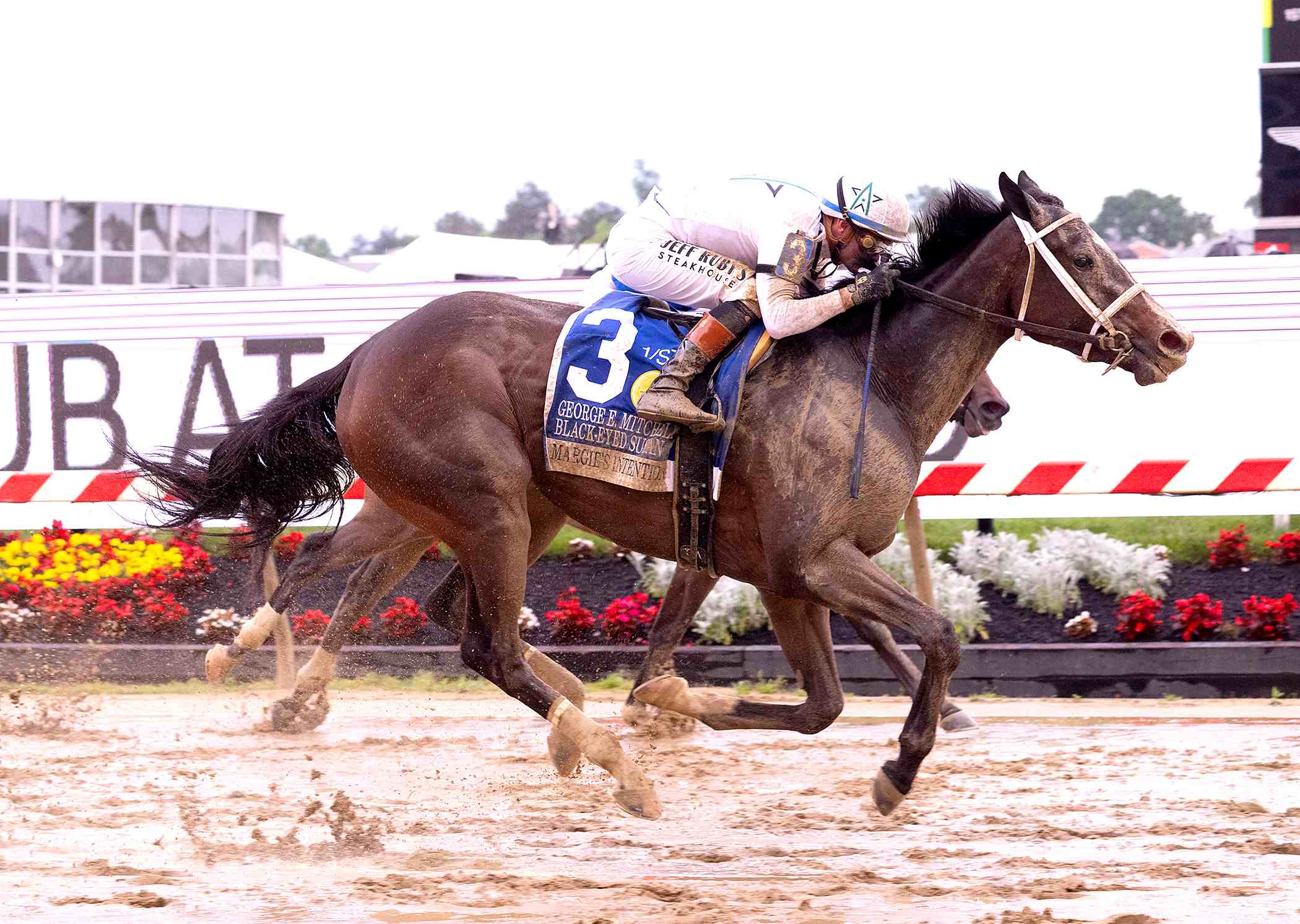 Allaire du Pont Distaff Stakes preview