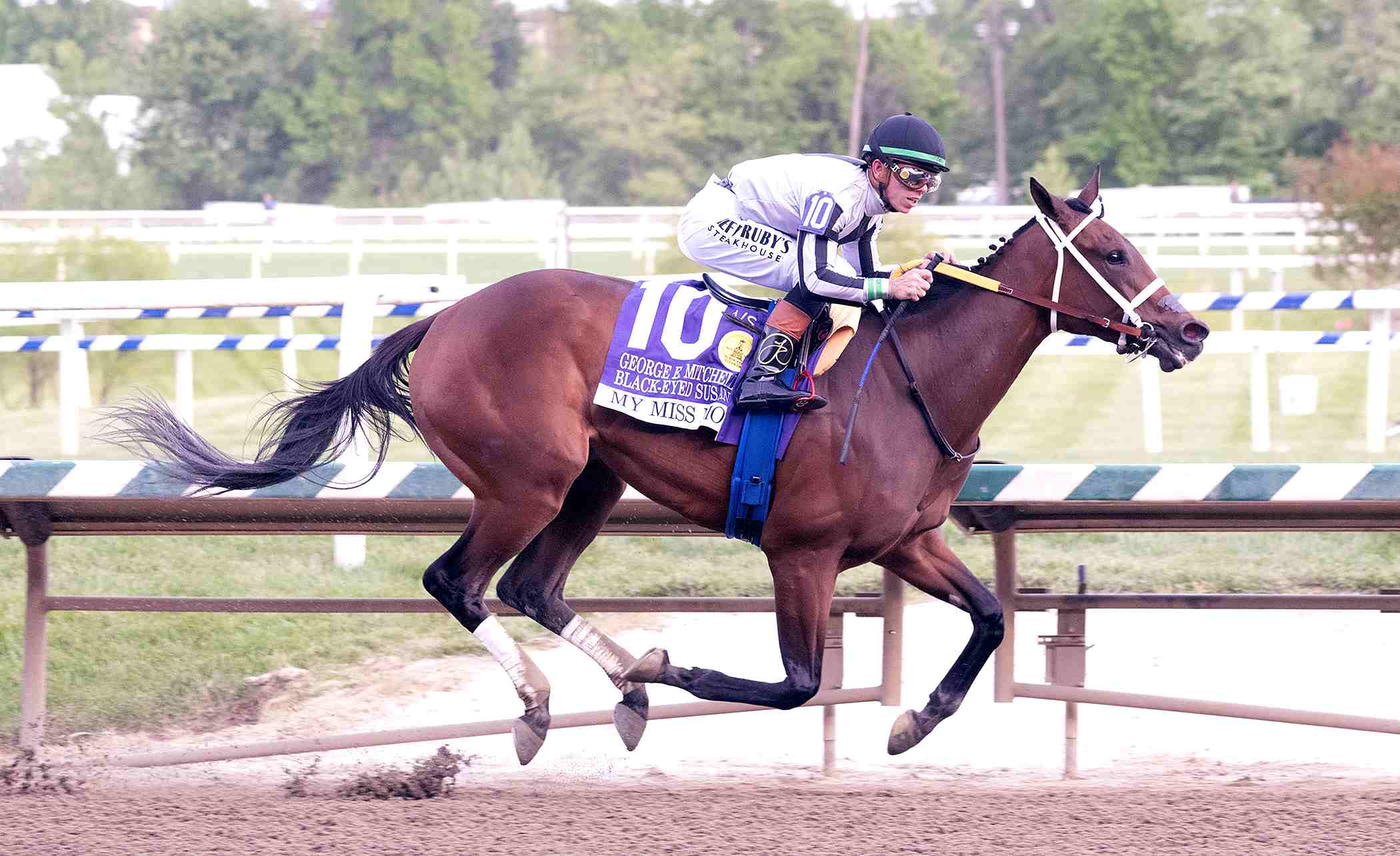 My Miss Mo winning Black-Eyed Susan Stakes 2026 at Laurel Park