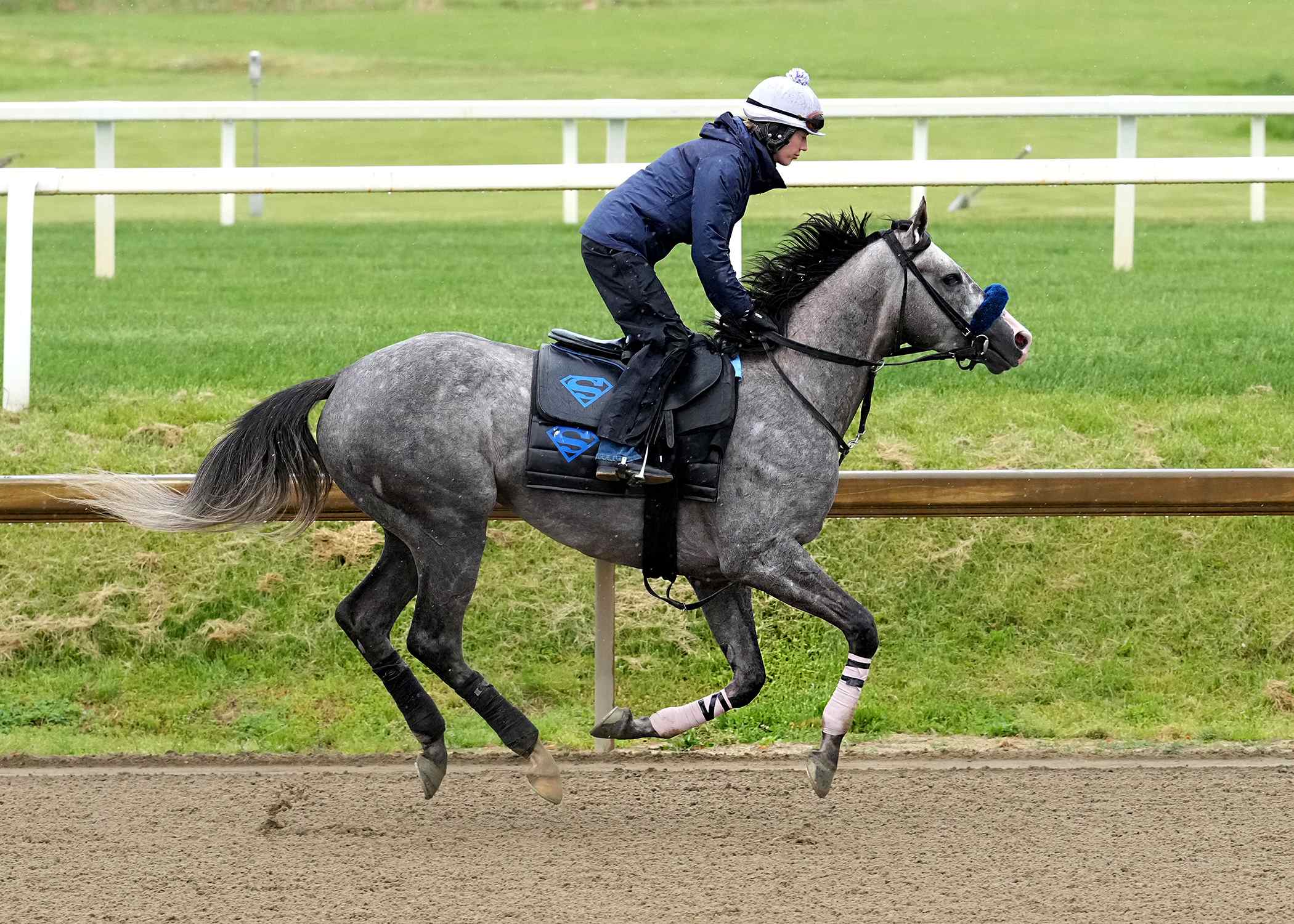 Preakness Stakes 2026 runners and horses preparing at Laurel Park