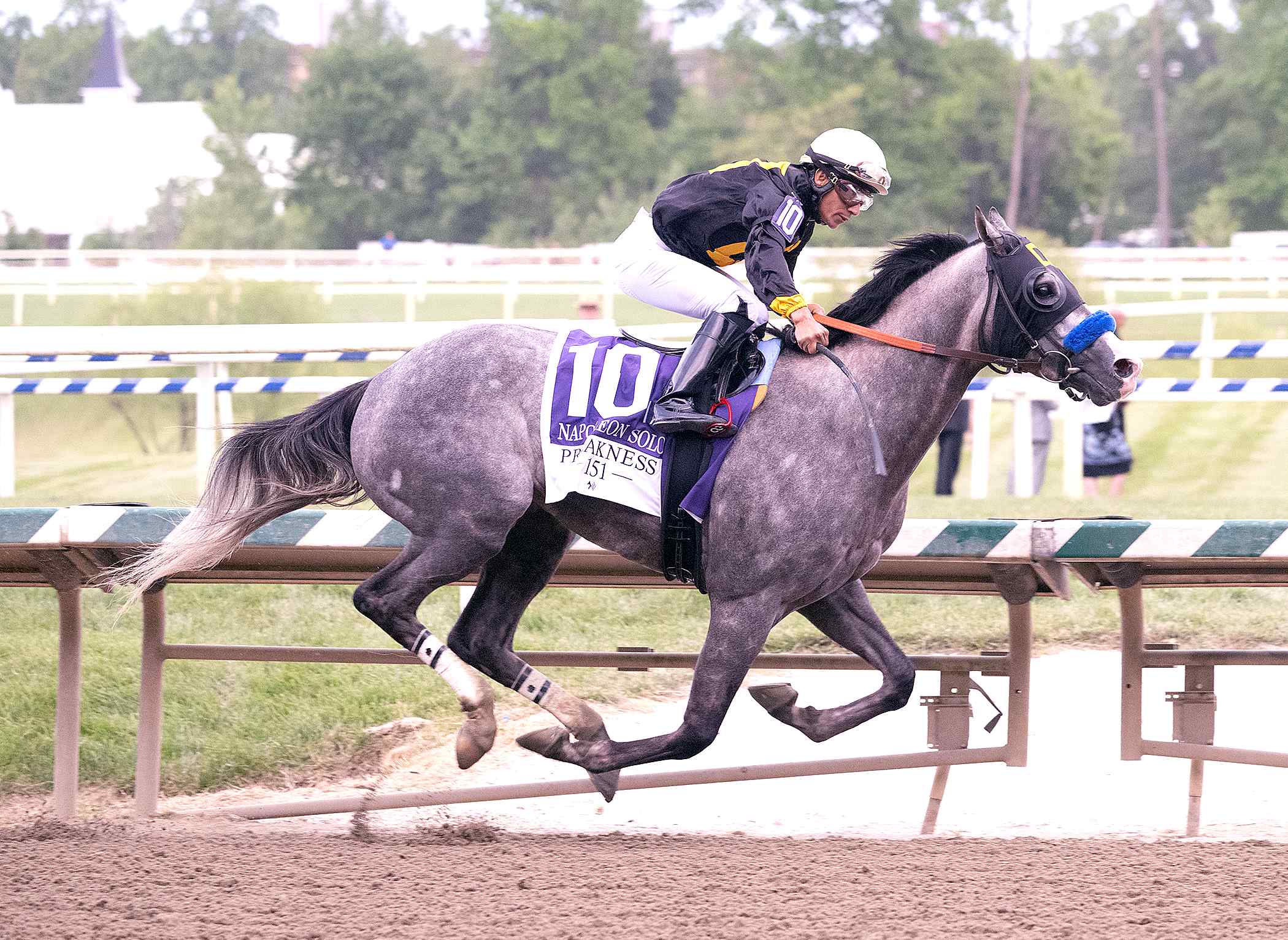Napoleon Solo winning the 151st Preakness Stakes at Laurel Park under jockey Paco Lopez
