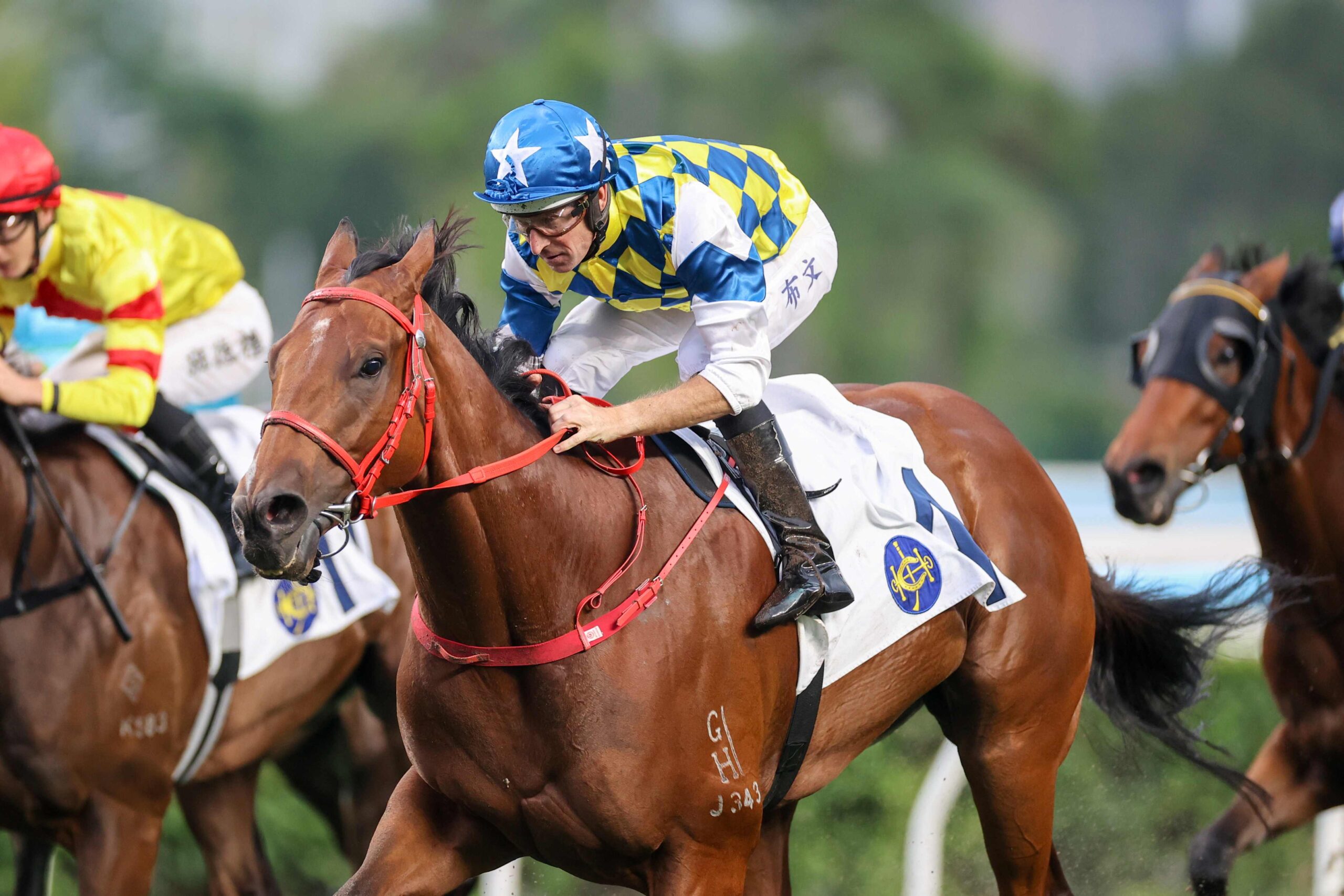 Zac Purton celebrates after riding a winner at Sha Tin on 9 May 2026