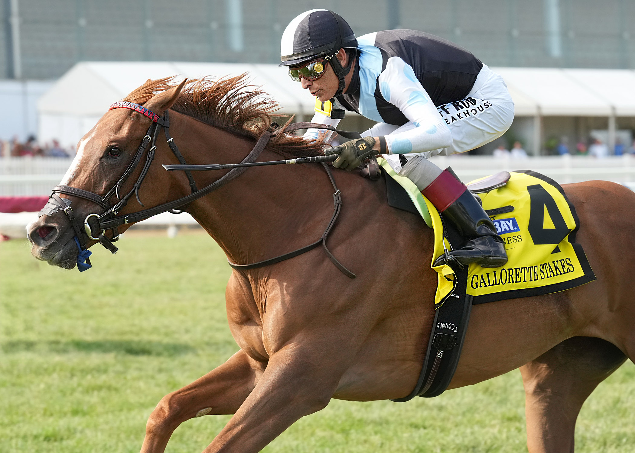 Warming surges clear under John Velazquez to win the Gallorette Stakes at Laurel Park