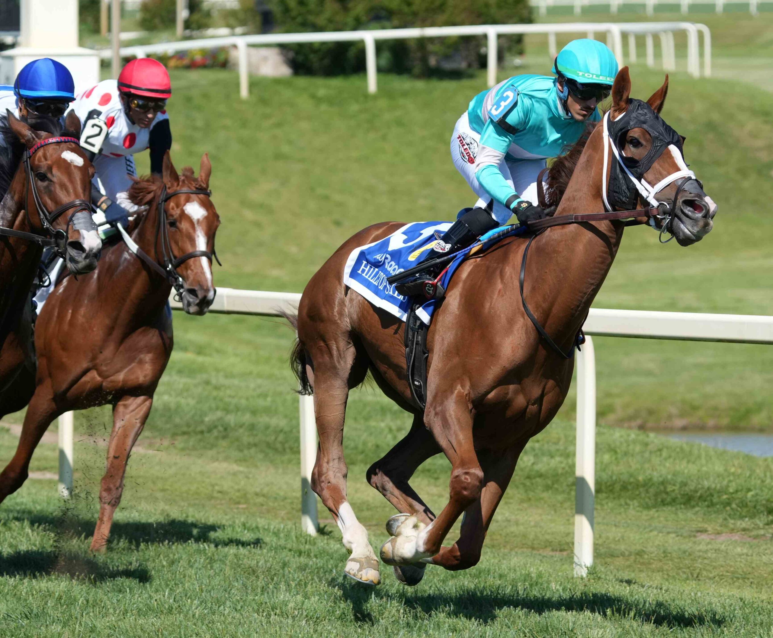 Coach Mazzula holding off Ultimate Love in the Hilltop Stakes at Laurel Park