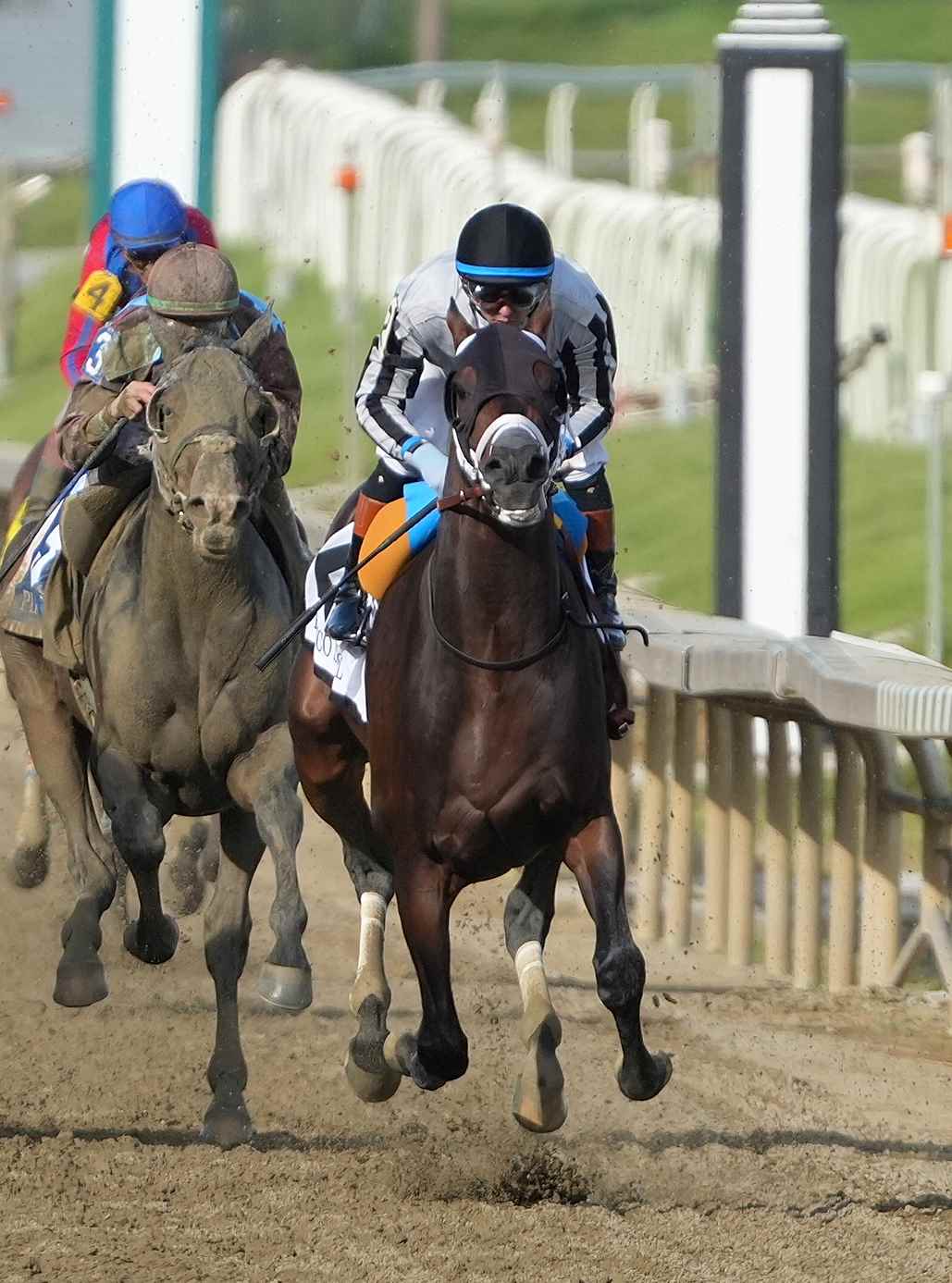 Navajo Warrior leads the field in Pimlico Special 2026 at Laurel Park