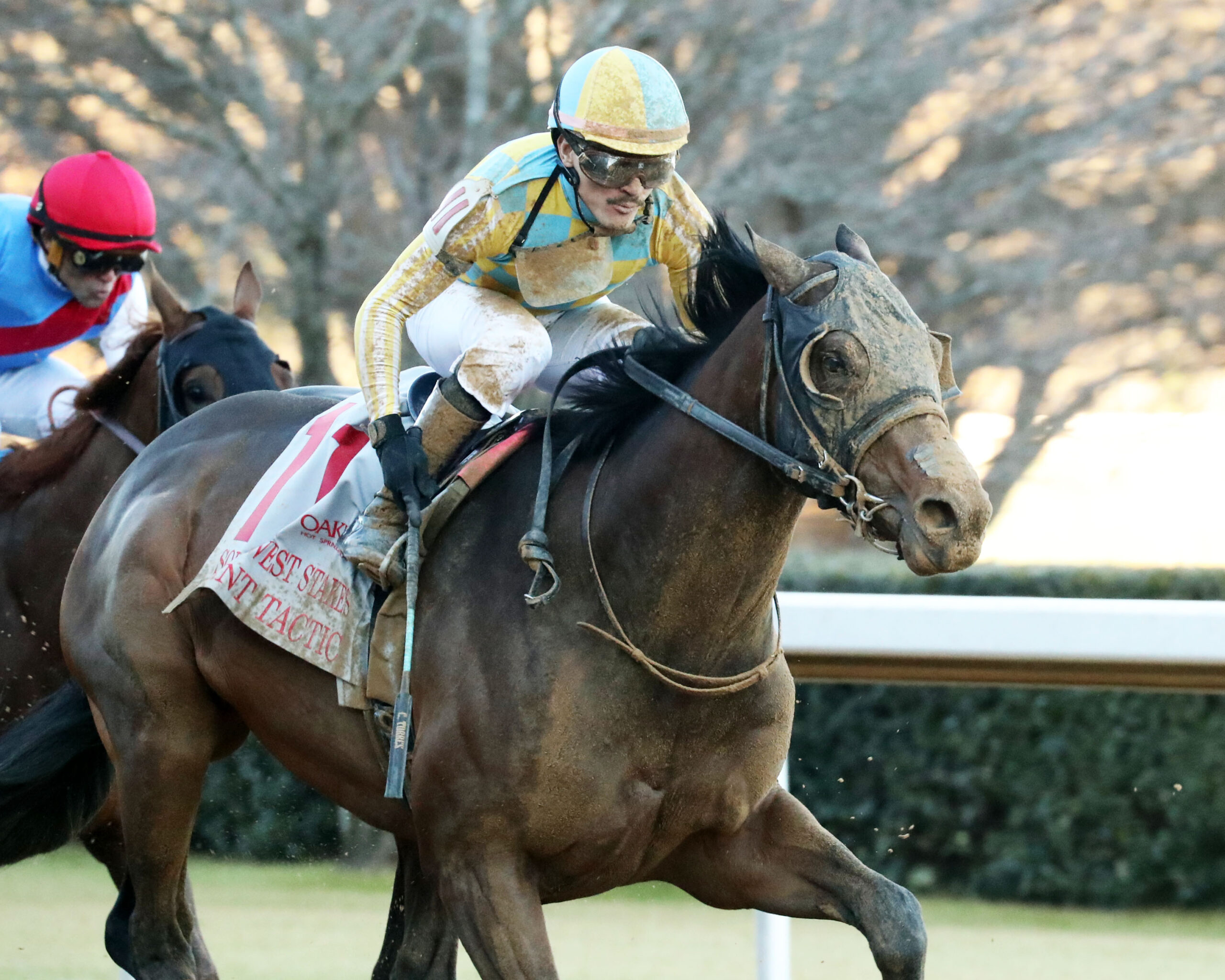 Horses training at Laurel Park ahead of Preakness Stakes 2026