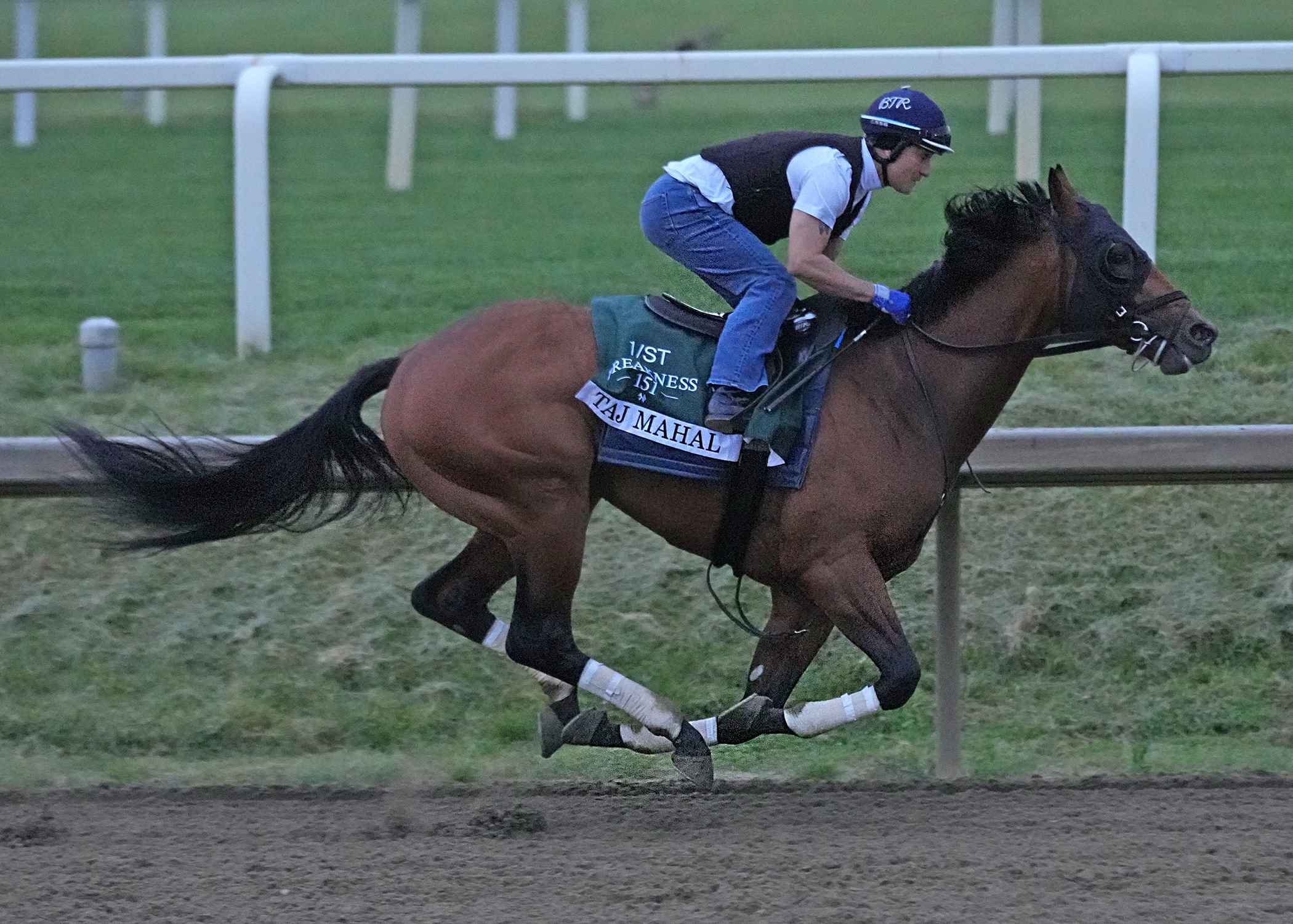 Taj Mahal working at Laurel Park ahead of Preakness Stakes 2026
