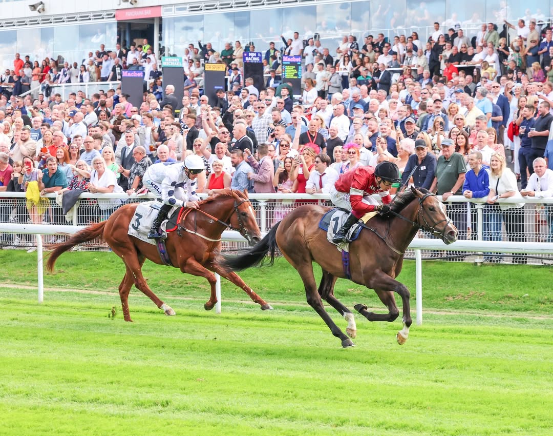 Hamilton Park race results 3 May Sunday flat racing action at Hamilton Park Racecourse