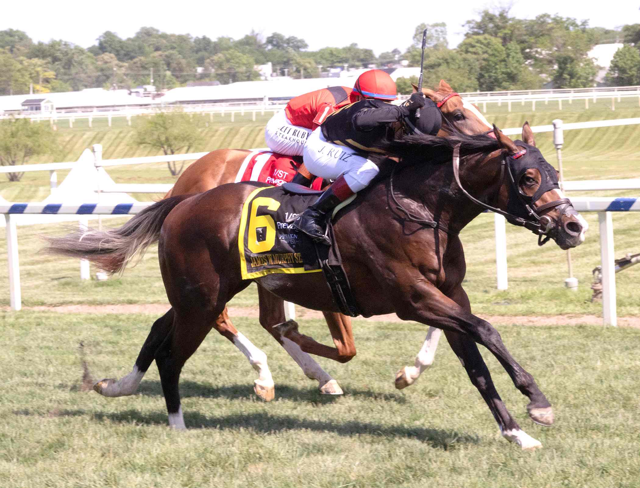 Turf Star rallies late to win the James W. Murphy Stakes at Laurel Park under Jorge Ruiz