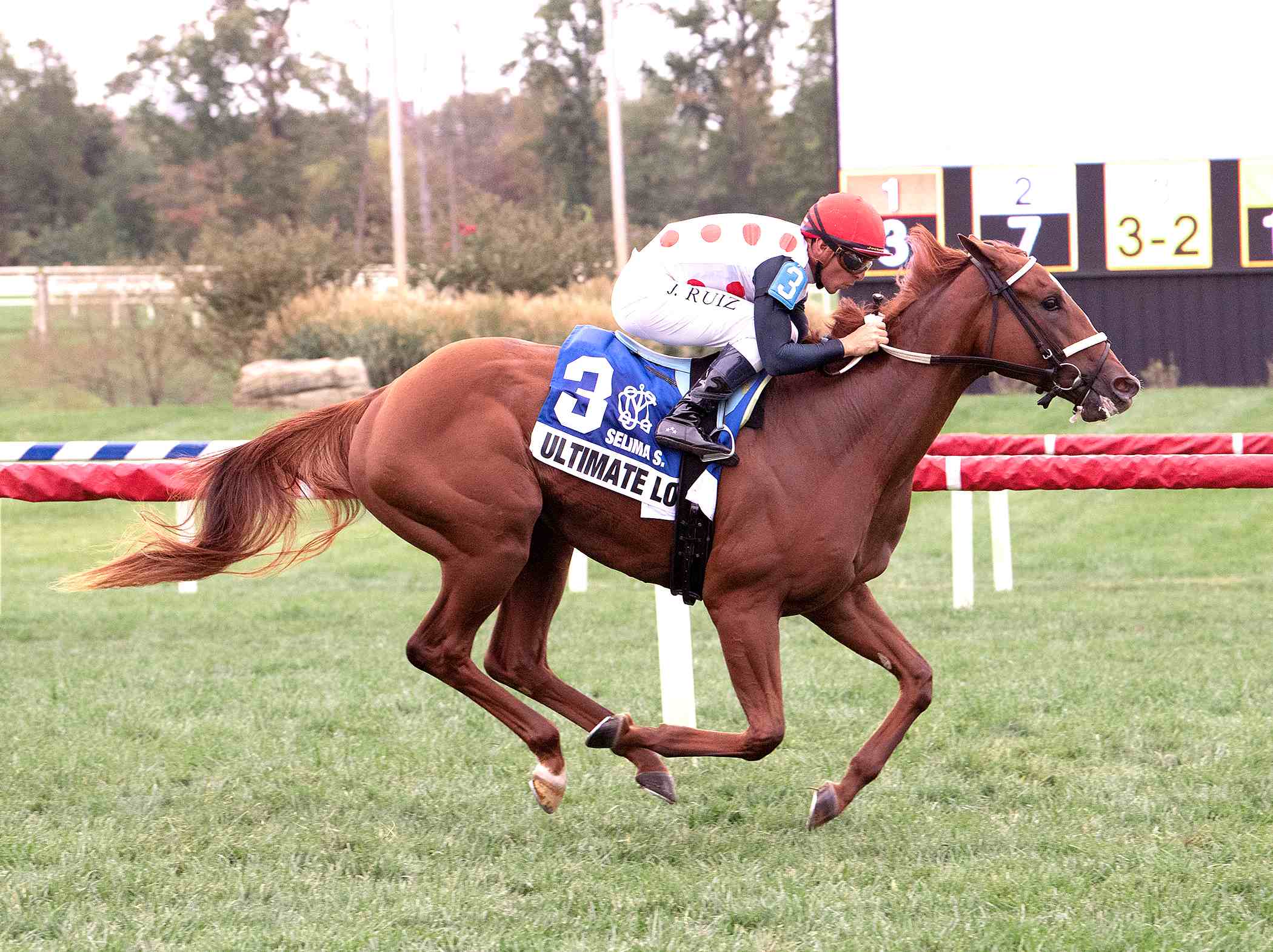 Laurel Park Hilltop Stakes 2026 as Ultimate Love returning to action