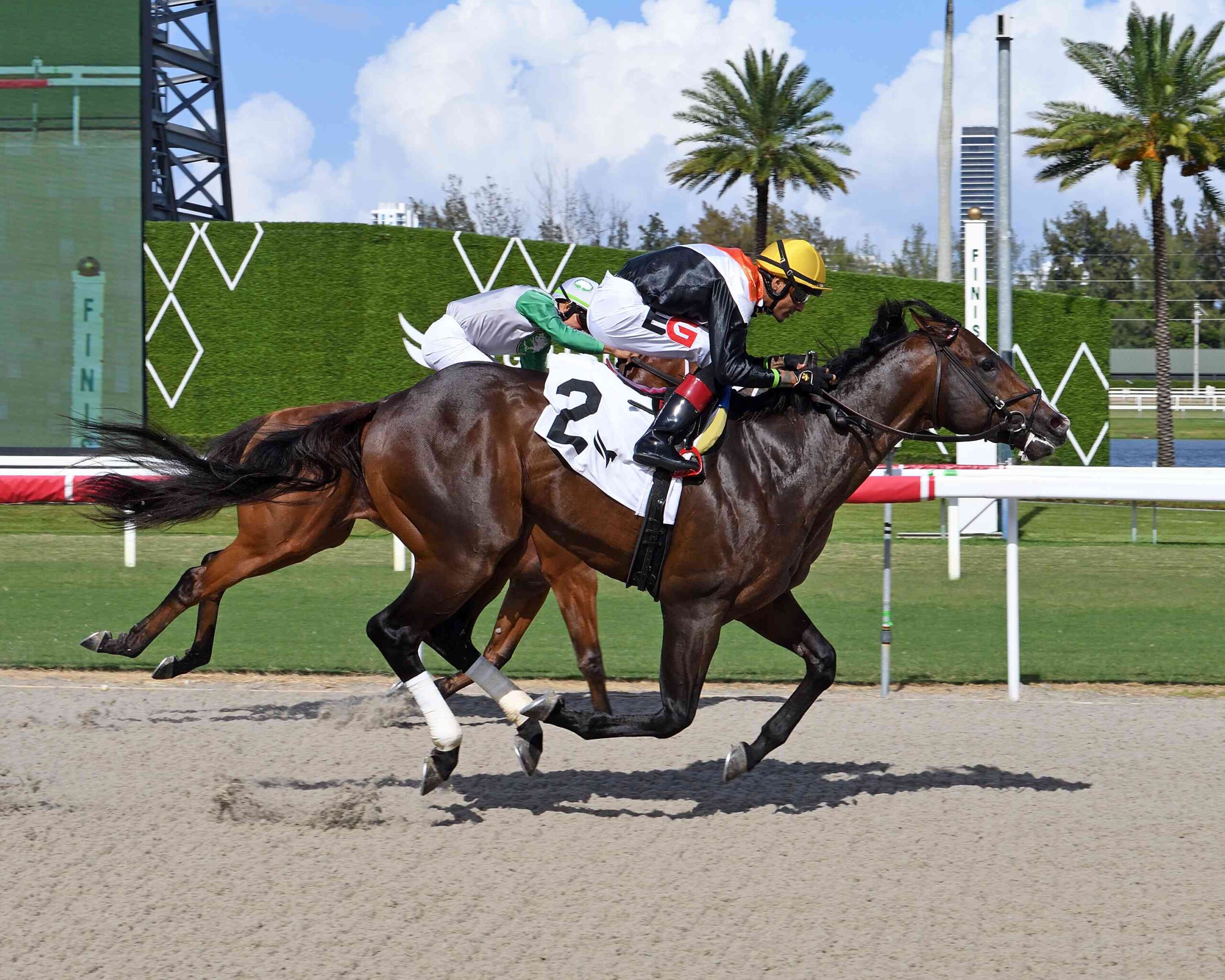 Unwritten Rule rallies past Monster late in the Roar Stakes at Gulfstream Park