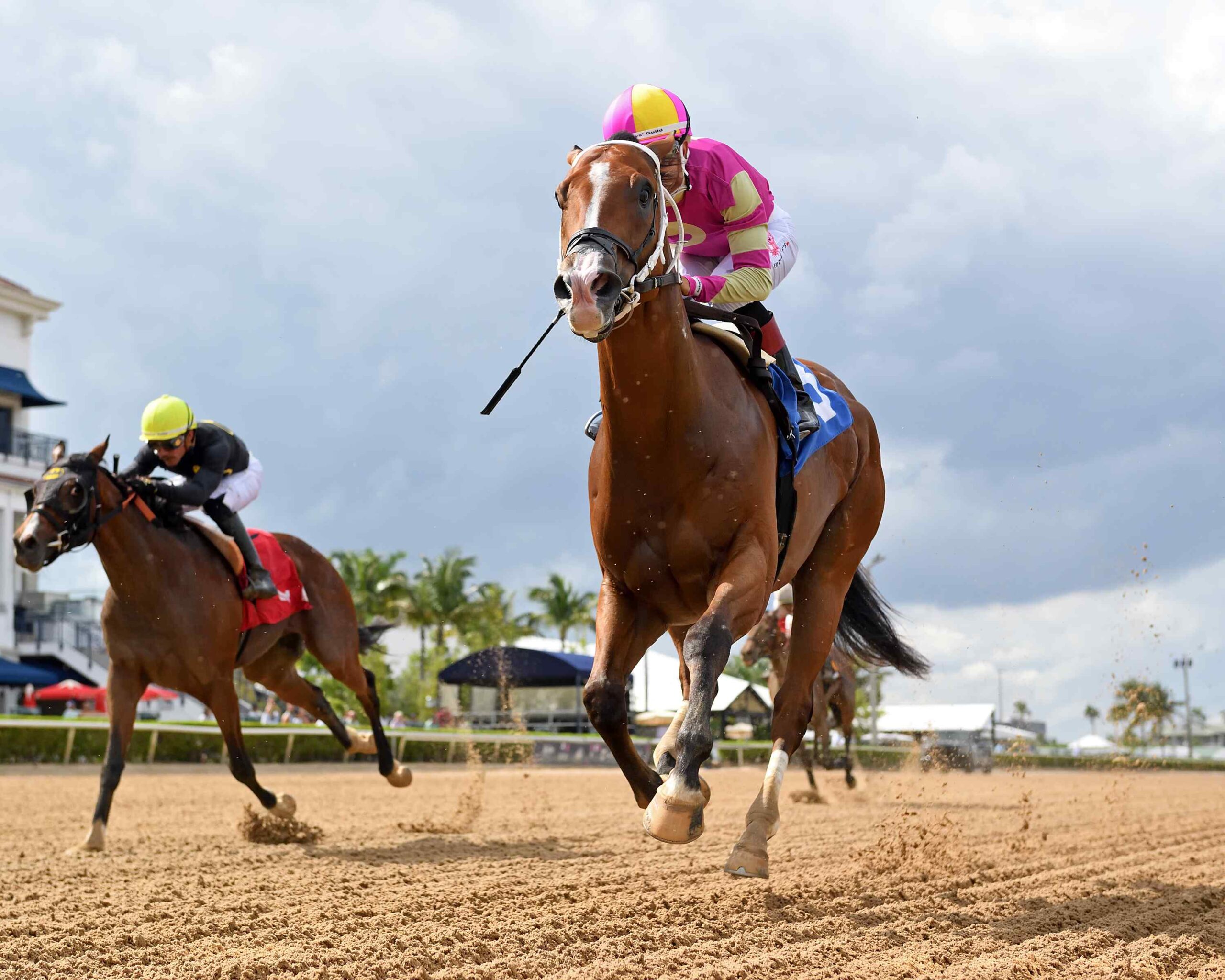 Edgard Zayas Gulfstream Park win