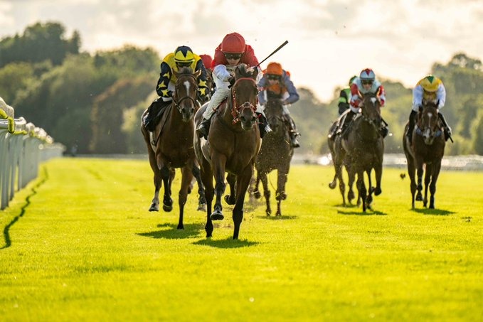 Windsor Race Results 11 May seven-race evening meeting at Windsor Racecourse