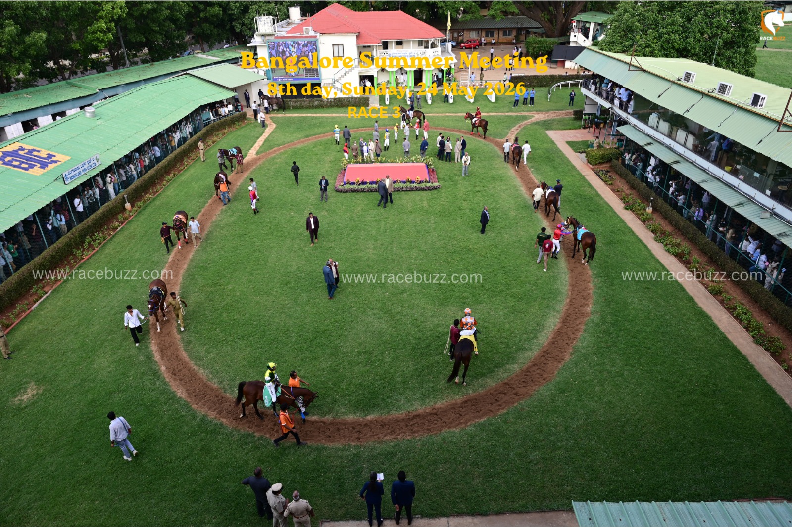 Zephyrine winning Pendragon Plate Div II Bangalore race result 24 May at Bangalore Racecourse