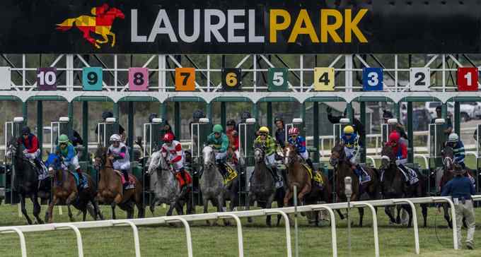 Laurel Park racetrack stakes weekend action