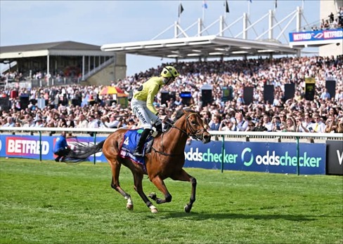 Wolverhampton Race Cards 5 May all-weather evening racing action