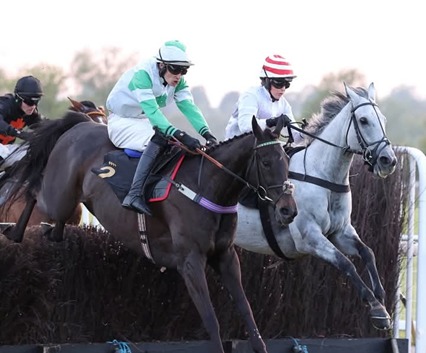 Warwick Race Results 4 May Crystal Days Neigh Botha Shesonnet winners
