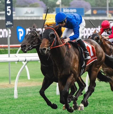 Warwick Farm Race Cards 6 May race meeting overview