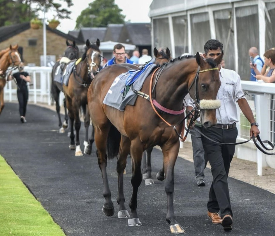 Ayr race results 5 May Tuesday flat racing action at Ayr Racecourse