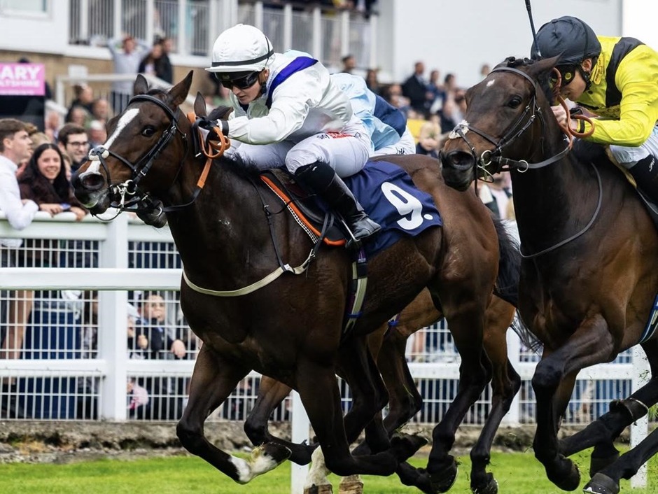 Windsor racecards 7 May Thursday flat turf racing action at Windsor Racecourse