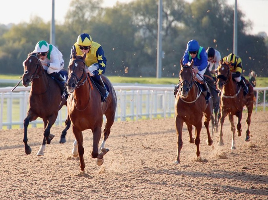 Southwell racecards 7 May evening racing preview