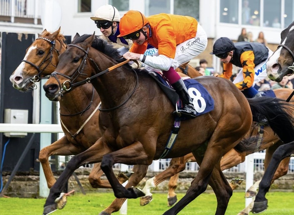 Windsor race results 7 May Thursday flat racing action at Windsor Racecourse