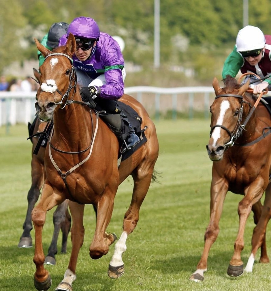 Nottingham racecards 9 May Saturday flat turf racing action at Nottingham Racecourse