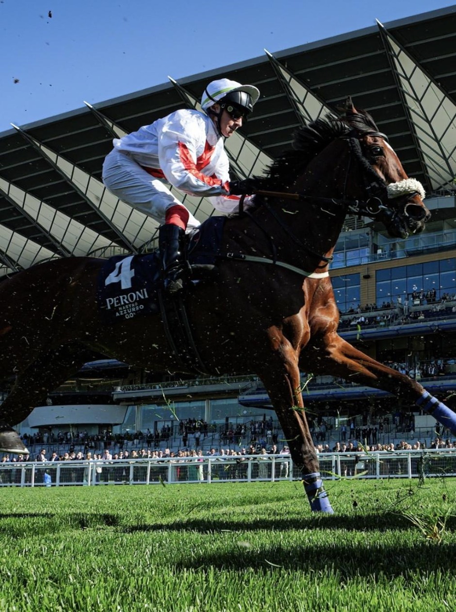 Ascot racecards 9 May Saturday flat turf racing action at Ascot Racecourse