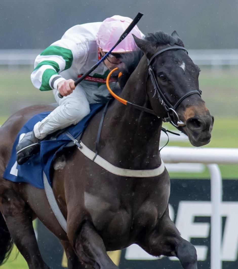 Wolverhampton racecards 11 May Monday all-weather racing action at Wolverhampton Racecourse