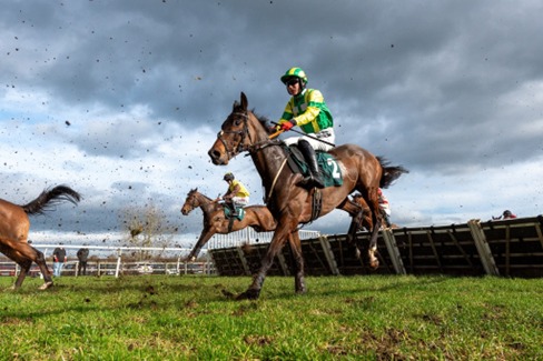 Catterick Race Cards 11 May runners competing at Catterick Bridge