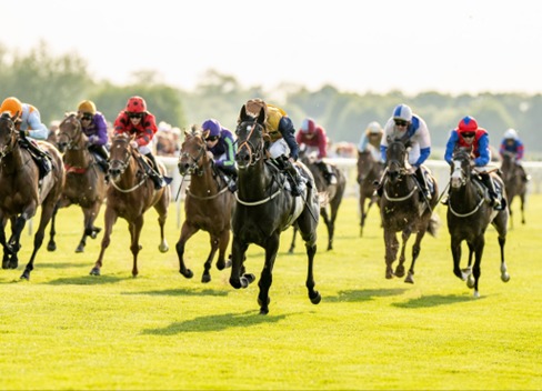 Windsor Race Cards 11 May runners compete during the evening fixture at Windsor Racecourse