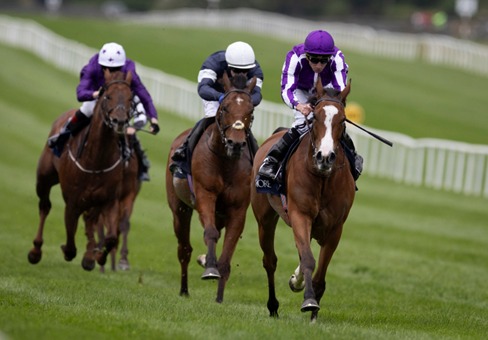Roscommon Race Cards 11 May preview at Roscommon Racecourse in Ireland