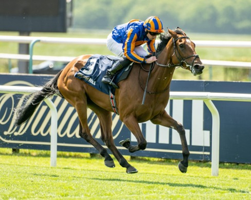 Lingfield Park Race Cards 12 May evening racing action at Lingfield Park Racecourse