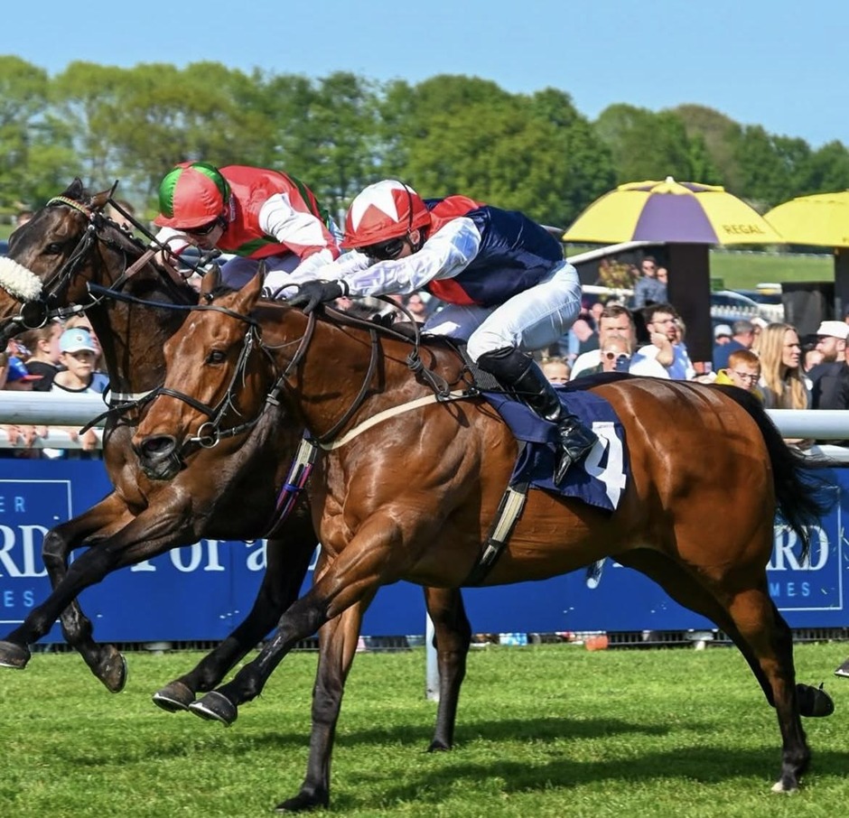 Beverley racecards 12 May Tuesday flat turf racing action at Beverley Racecourse