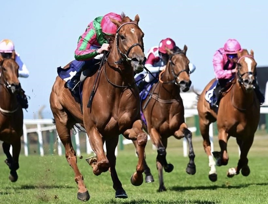 Great Yarmouth racecards 13 May Wednesday racing action at Great Yarmouth Racecourse