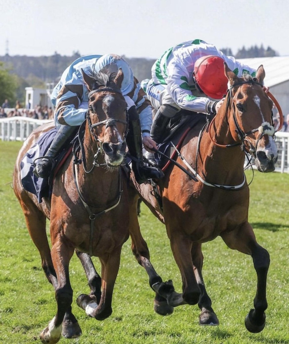 Perth racecards 13 May Wednesday jump racing action at Perth Racecourse