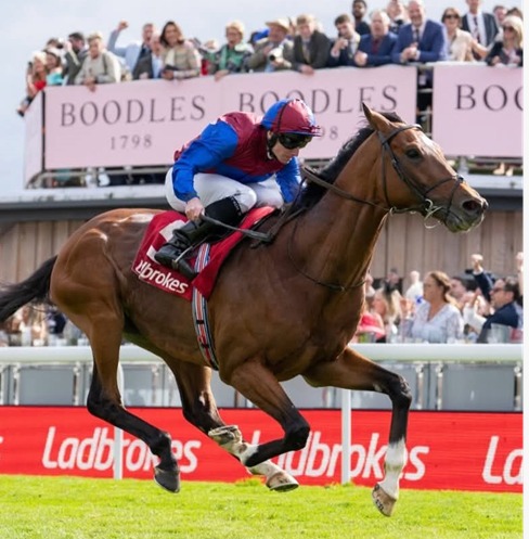 Punchestown Race Cards 13 May runners competing during the Wednesday evening fixture in Ireland
