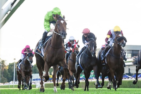 Royal Randwick Race Cards 13 May horses competing at Kensington Midweek meeting