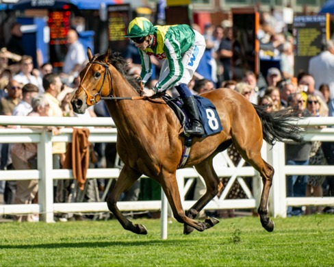 Lingfield Park Race Results 12 May from Tuesday all-weather meeting