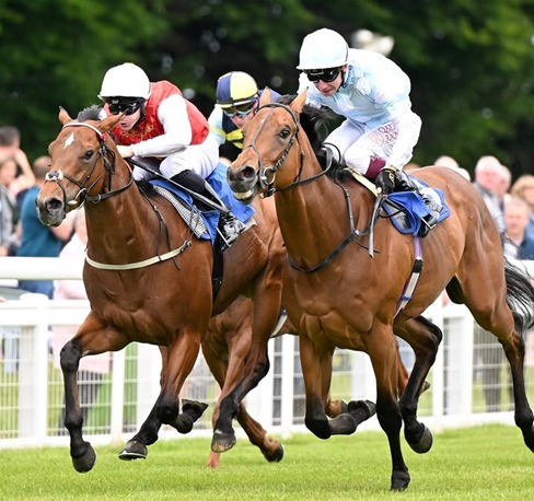 Salisbury Race Cards 14 May full detailed race programme and runners