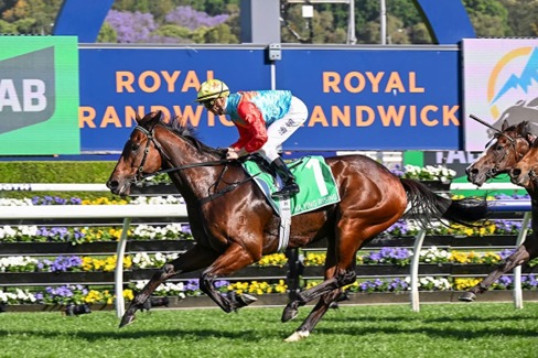 Royal Randwick Race Results 13 May during Kensington Midweek racing
