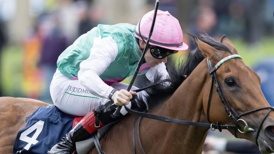 York racecards 15 May Friday flat turf racing action at York Racecourse