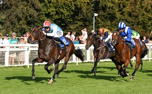 Salisbury Race Results 14 May from Thursday racing card at Salisbury Racecourse