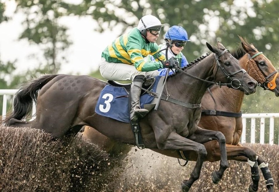 Fontwell Park race results 14 May jump racing action at Fontwell Park Racecourse