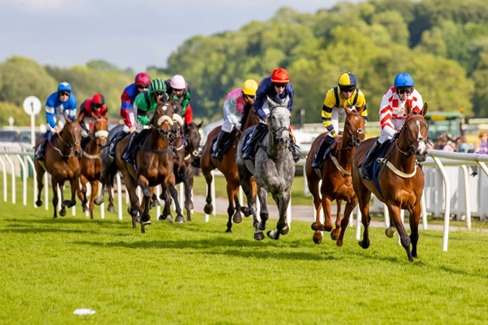 Uttoxeter Race Cards 16 May full race overview with runners and distances